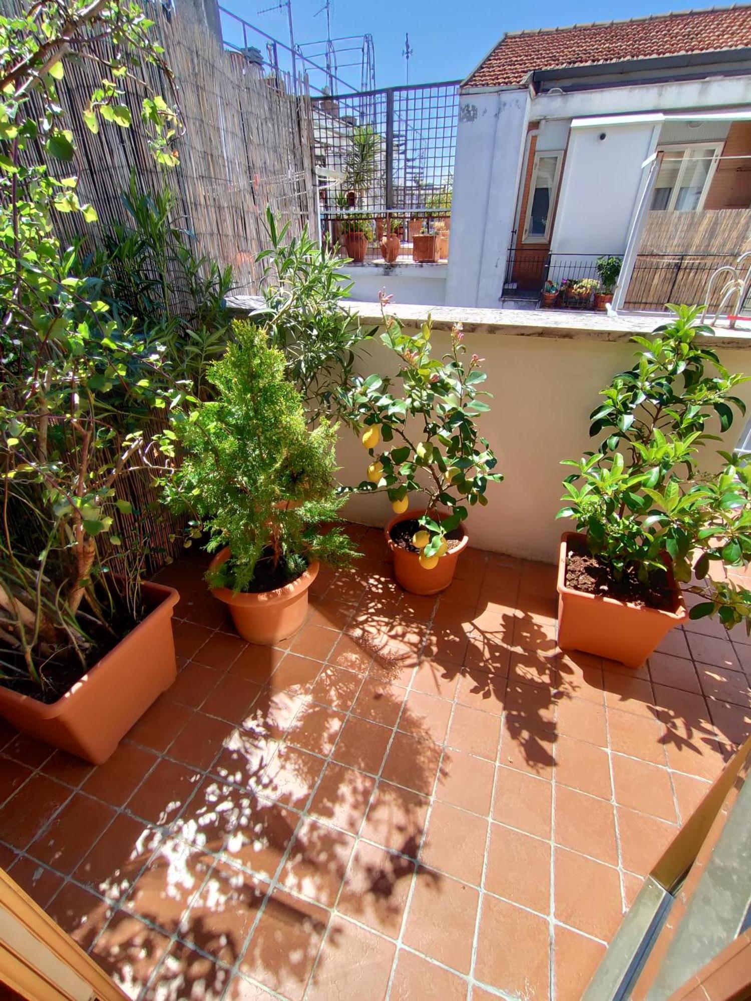 La Dimora Degli Artisti Bed & Breakfast Pescara Bilik gambar